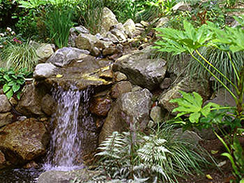 Garden Waterfall Installation Kirkland